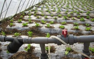 高标准农田，农田灌溉管材，PVC给水管材