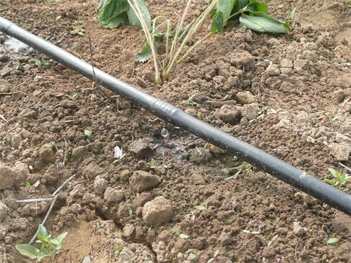 最节水的灌溉方试