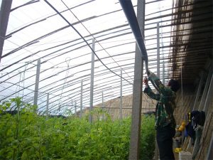 高标准农田建设项目，水肥一体化，节水灌溉