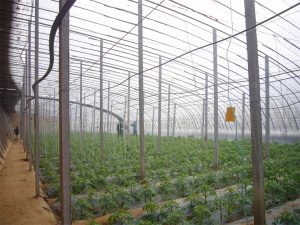 节水灌溉，高标准农田