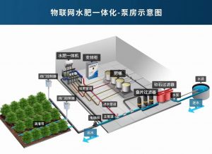 节水灌溉对作物产量有何影响？￼￼￼￼￼￼￼￼